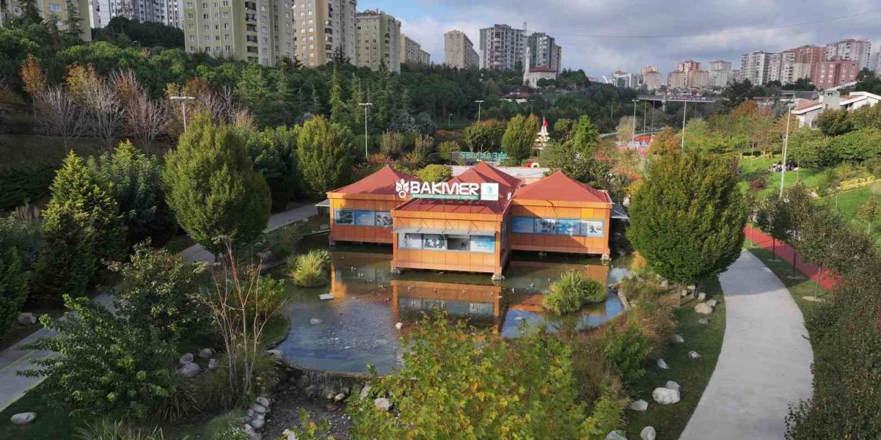 Başak Mahallesi’nde Çok Sayıda Proje Hayata Geçirildi