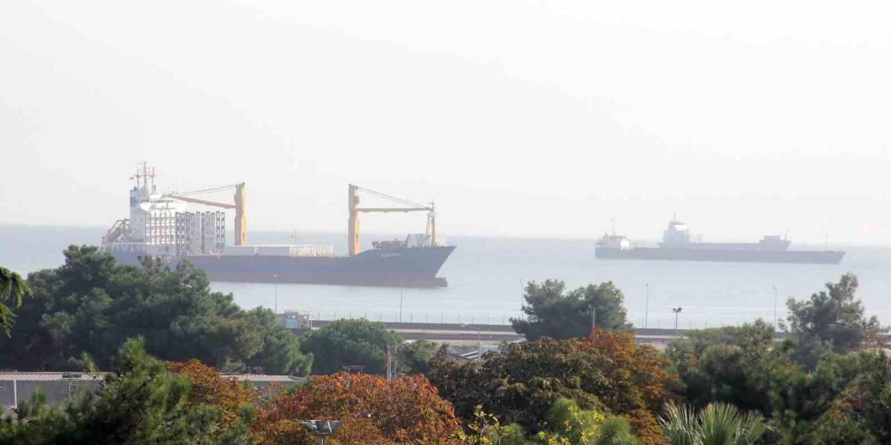 Hayvansal Ürün İhracatından Milyonlarca Döviz Gelir