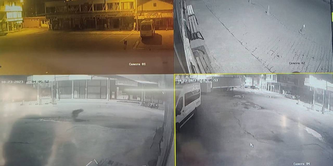 Sokakları Süpüren Temizlik İşçisinin Karşısına Ayı Çıktı
