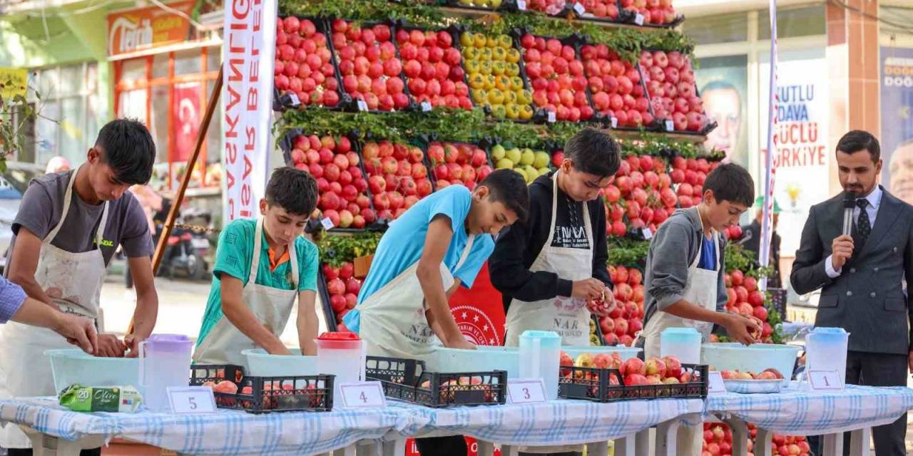 Bilecik’te Nar Hasadı