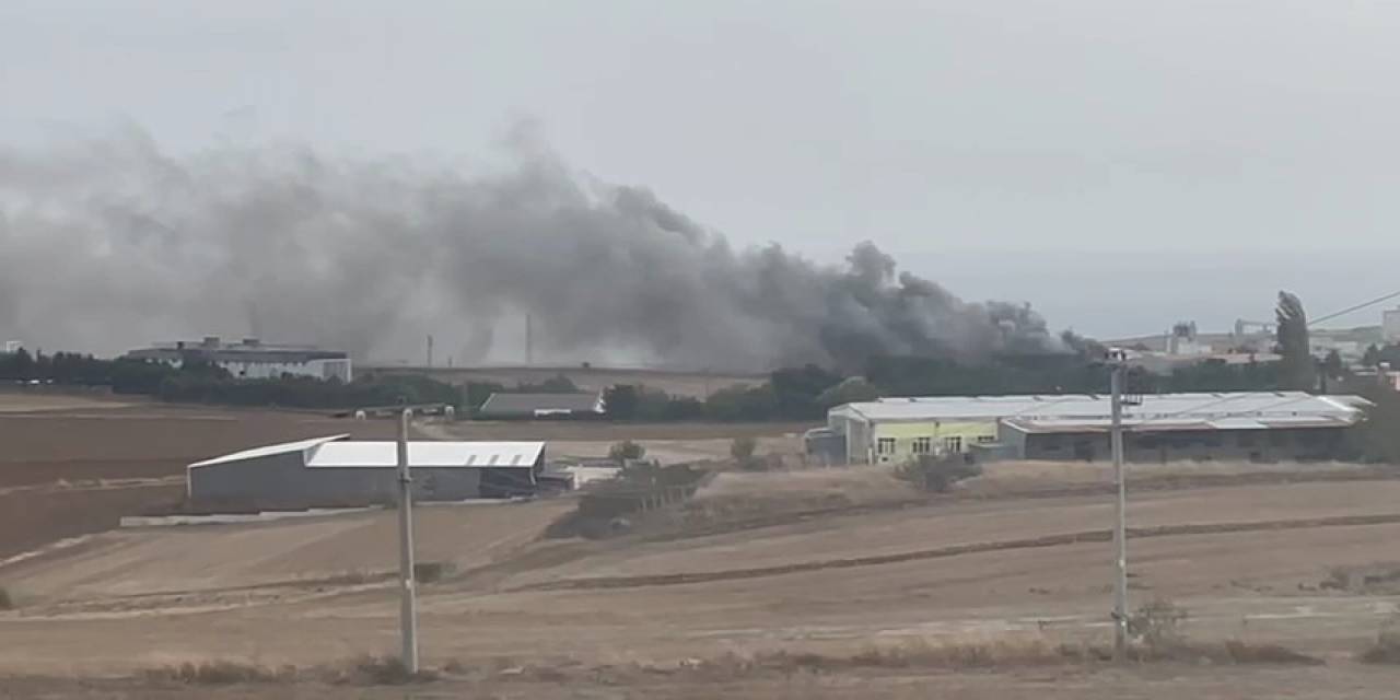 Tekirdağ’da Fabrika Yangını