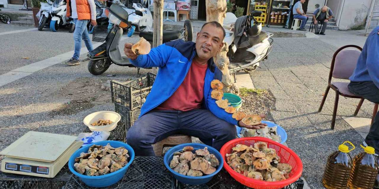 Kırmızı Melki Sezonu Başladı: Kilosu 200 Lira