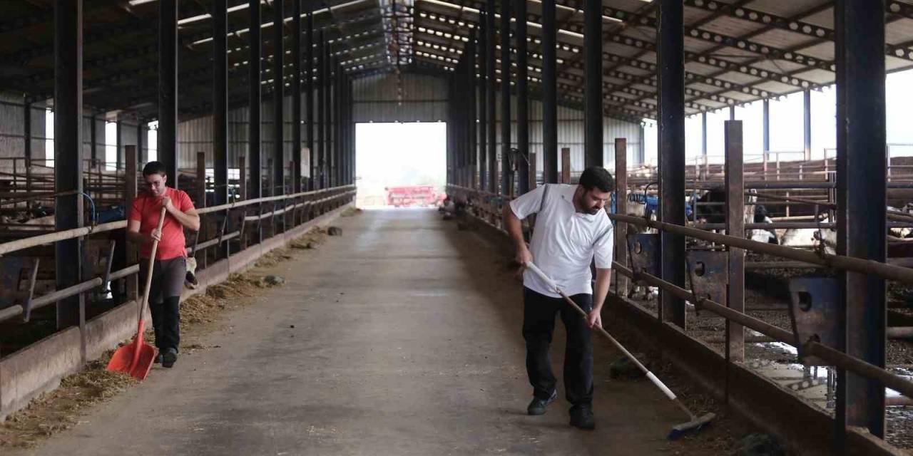 Kendi Kendine Yeten Çiftlik Kurdular, Ucuz Etin Formülünü Buldular