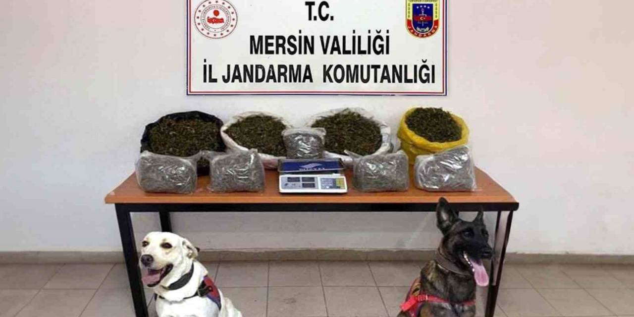 Mersin’de Uyuşturucu Ticareti Yapan 4 Şüpheli Yakalandı