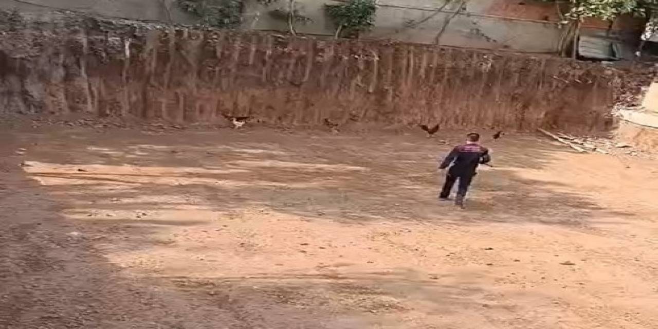 Batman’da İtfaiye Ekiplerinden ’tavuk Kurtarma’ Operasyonu