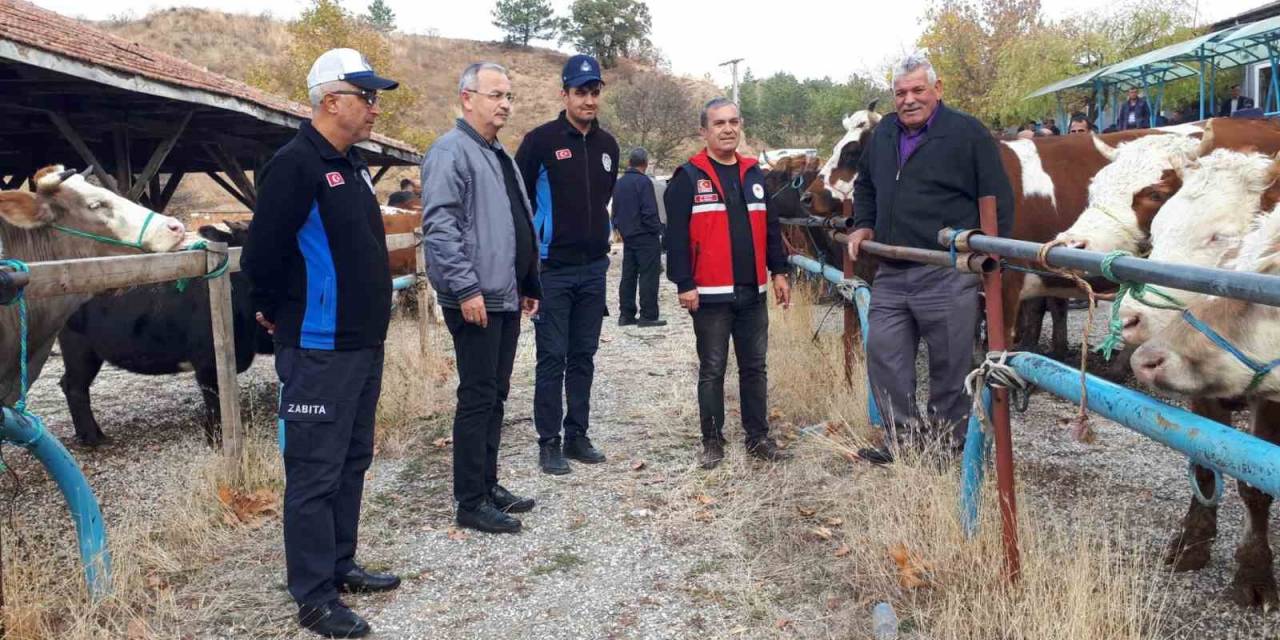 6 Aydır Kapalı Olan Tosya Hayvan Pazarı Yeniden Açıldı