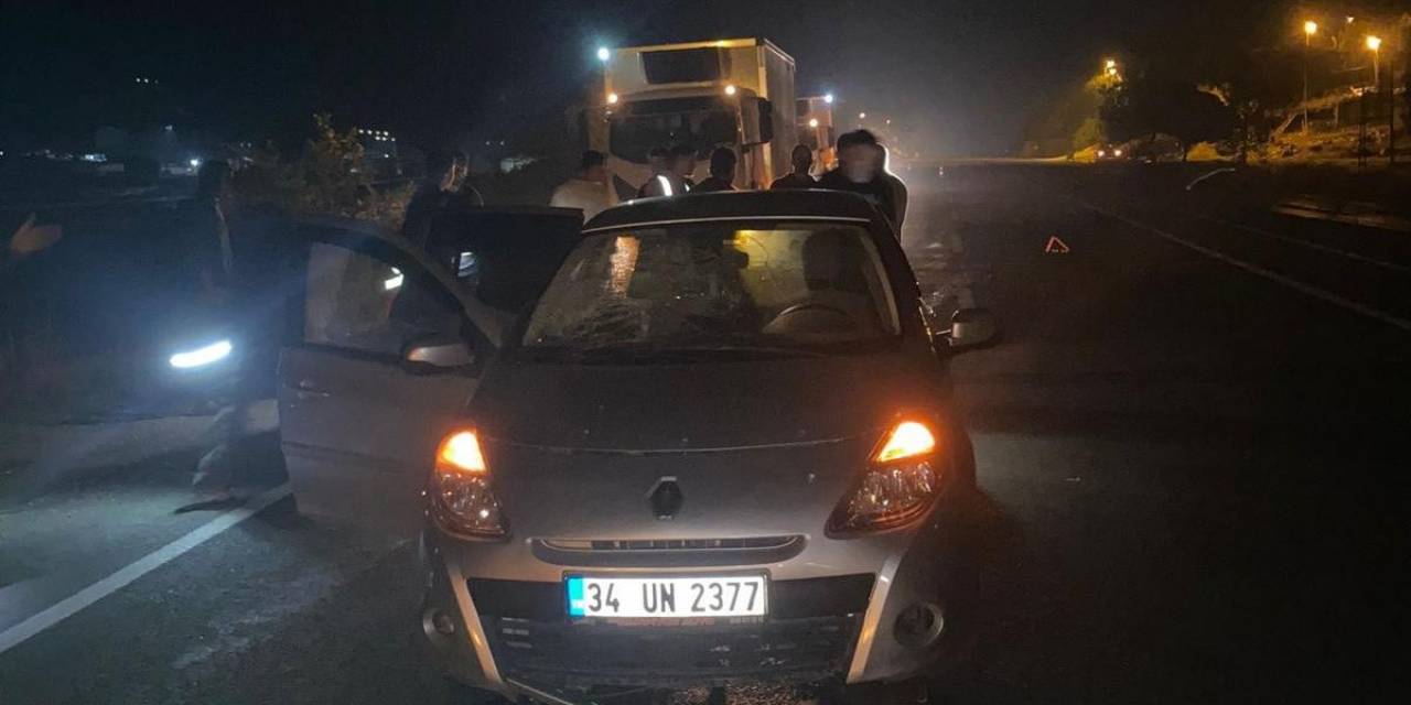 Otomobil Eşeğe Çarptı: 3 Yaralı