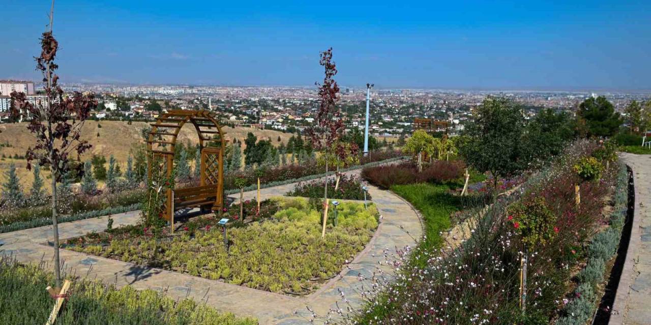 Koku Bahçesi Seyir Tepesi’nde Ziyaretçilerini Bekliyor