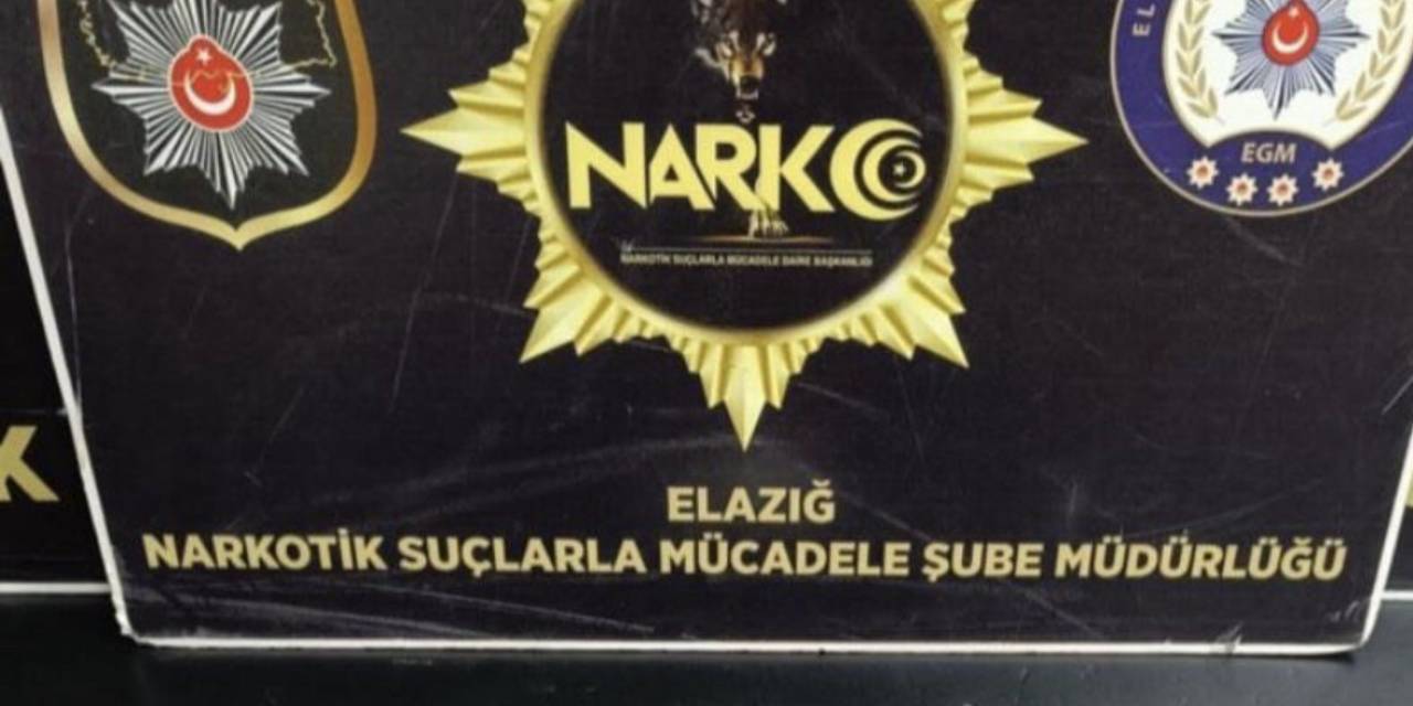 Valizinden  Uyuşturucu Madde Çıkan  Şüpheli Gözaltına Alındı