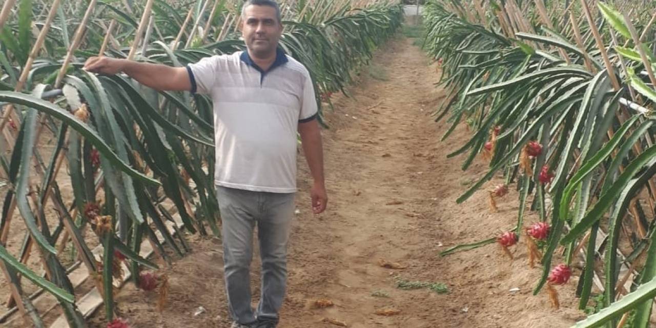 Küresel Isınma Aydın’da Fırsata Dönüşüyor