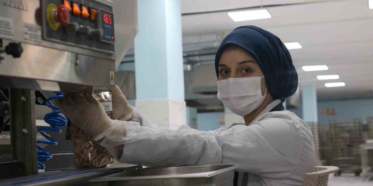 Sivas’ın Bin 400 Nüfuslu Beldesinde Üretilen Bu Ürünler Tüm Ülkeye Dağılıyor