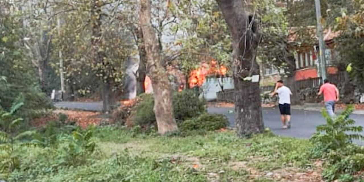 Yayla Mahallesi’nde Çalılık Yangını Kontrol Altına Alındı