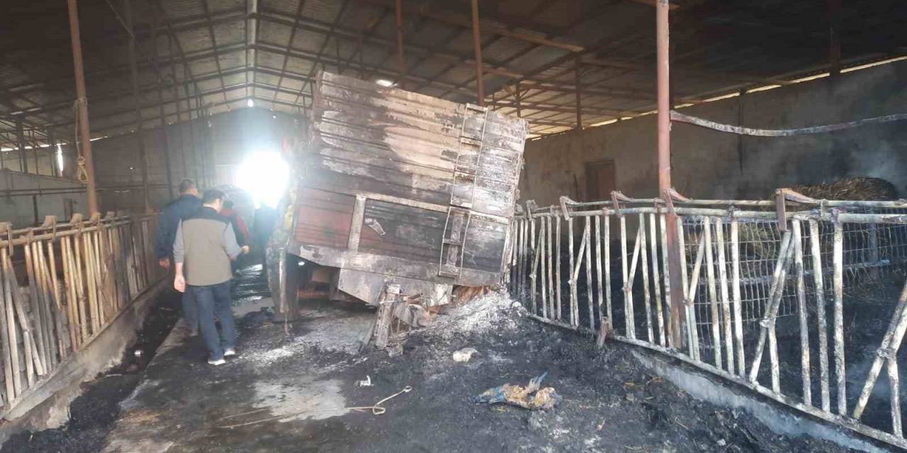 Orman Yangınından Etkilenen İşletmelerde İncelemelerde Bulunuldu