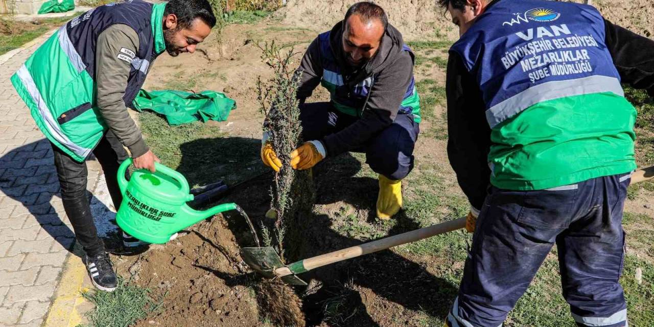 Van’daki 13 Mezarlık Alanına 3 Bin 400 Ağacın Dikimine Başlandı