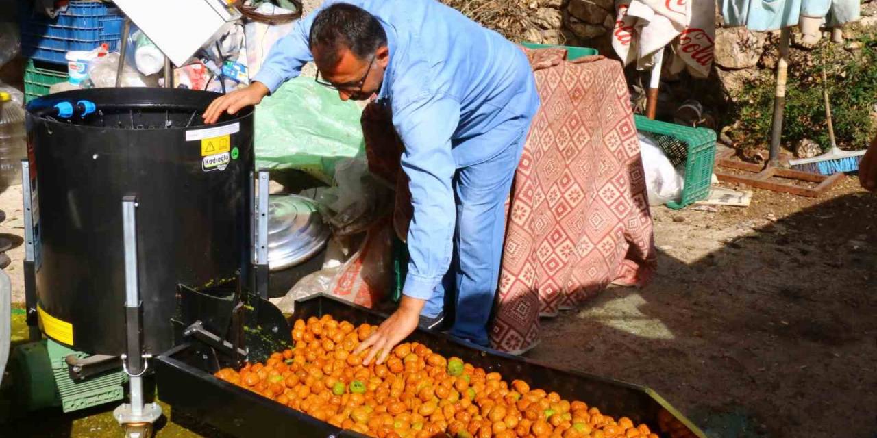 Büyükşehirden Geyikbayırlılara Ceviz Ayıklama Ve Salça Makinesi
