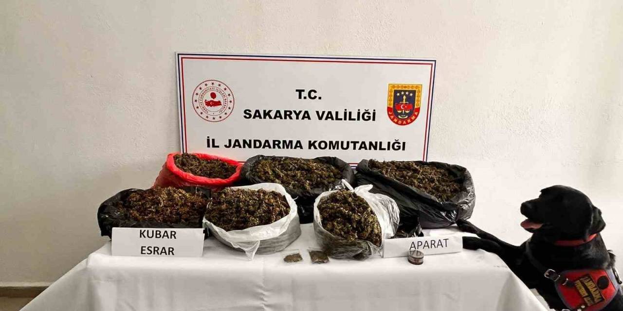 Sakarya Jandarmanın Uyuşturucu İle Mücadele Raporu: 380 Tutuklama