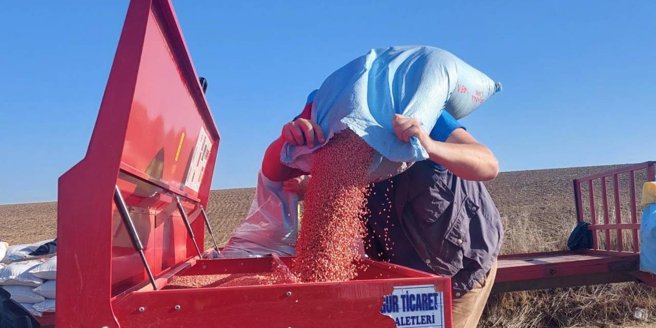 Türkiye’nin Buğday Ambarında Ekim Zamanı