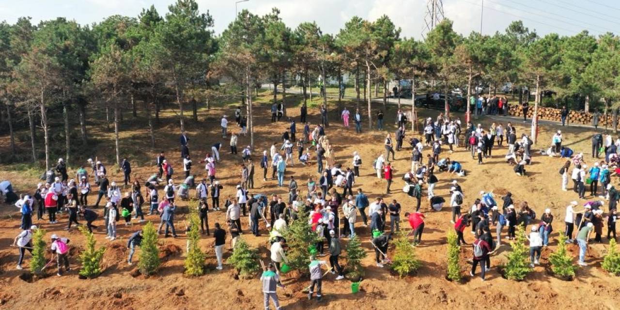 Sultangazi’de Cumhuriyetin 100. Yılında 1923 Fidan Dikildi
