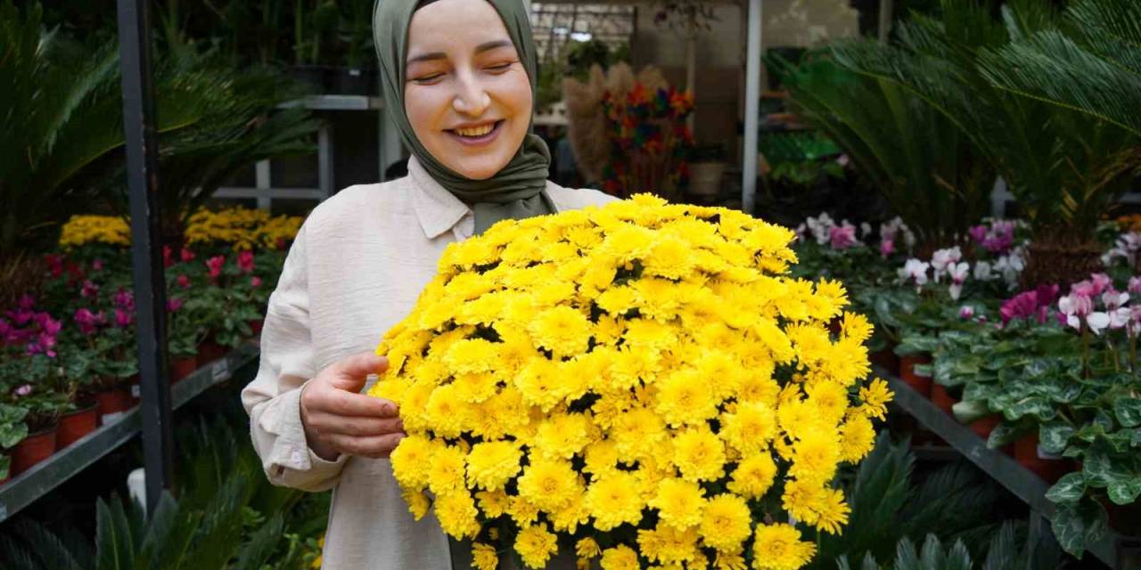 Bu Çiçeklere Sonbaharda İlgi Arttı