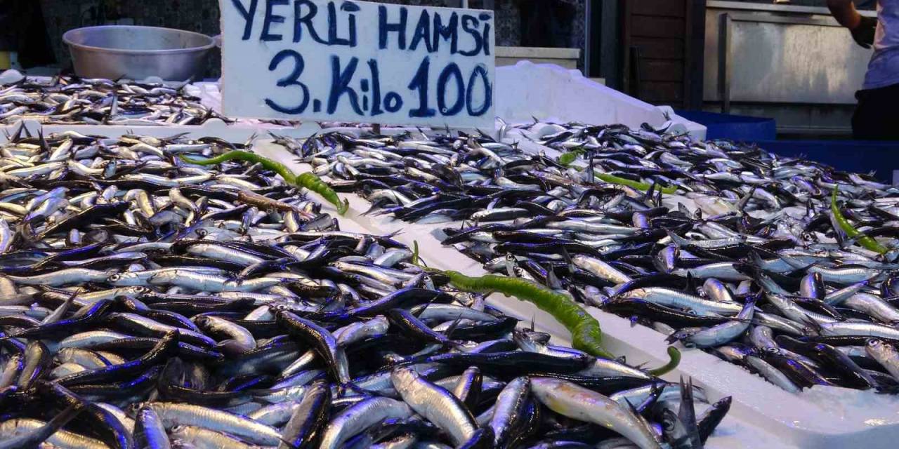 Trabzon’da Yerli Hamsinin 3 Kilosu 100 Liradan Satılıyor