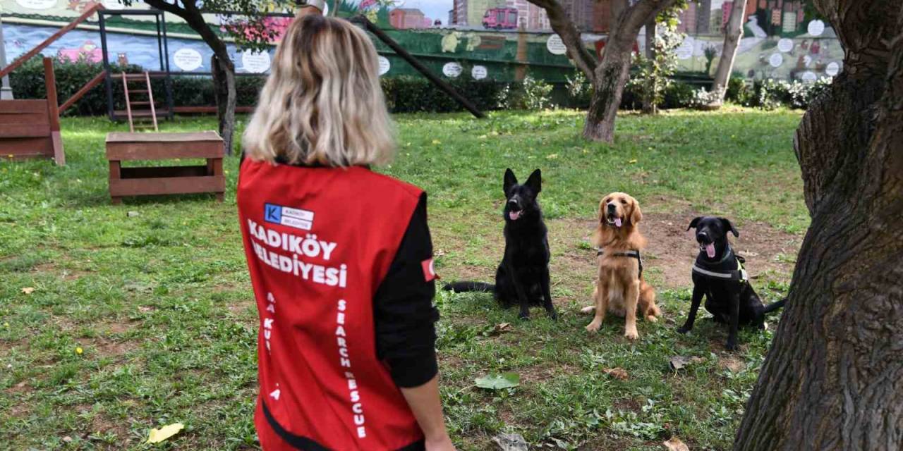 Bak-kadıköy’ün Yeni Üyesi Coco