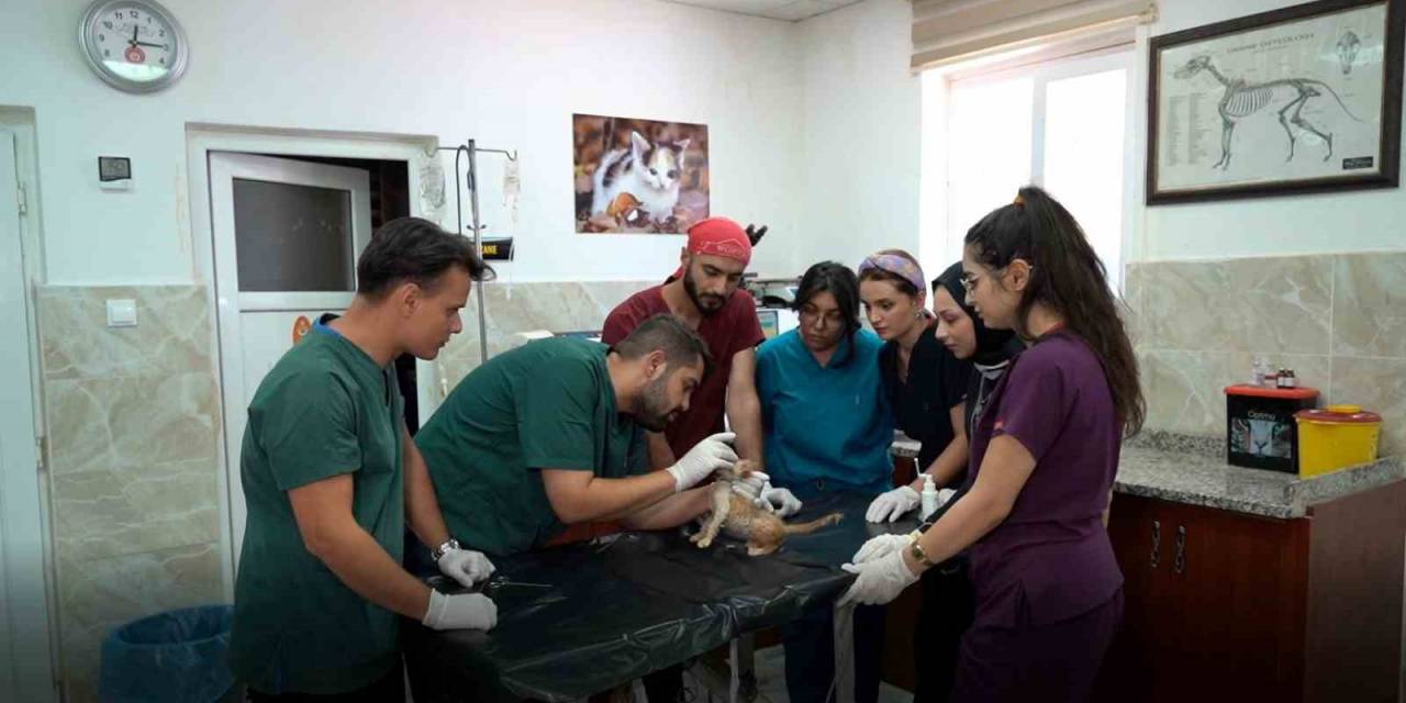 Büyükşehir’de 535 Öğrenciye Staj İmkanı Sağlandı