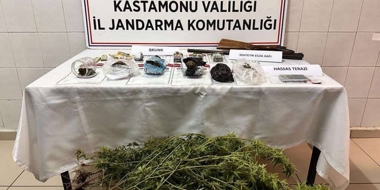 Kastamonu’da Saksıya Ekilmiş Halde Çok Sayıda Skunk Bitkisi Ele Geçirildi: 1 Gözaltı