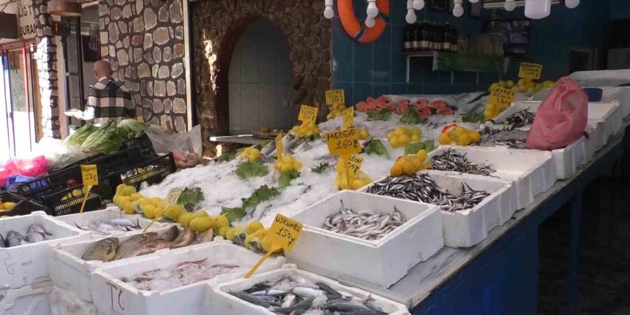 Hamsinin Kilo Fiyatı 35 Liraya Düştü