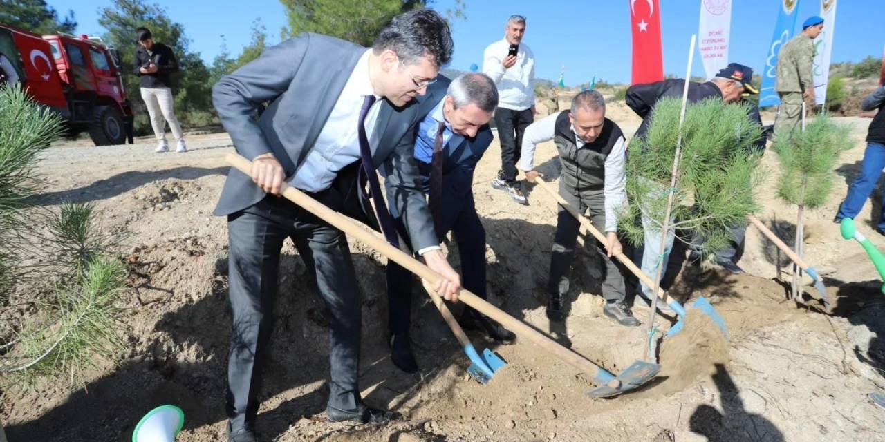 Mehmetçik Hatıra Ormanı’nda Binlerce Fidan Toprakla Buluştu