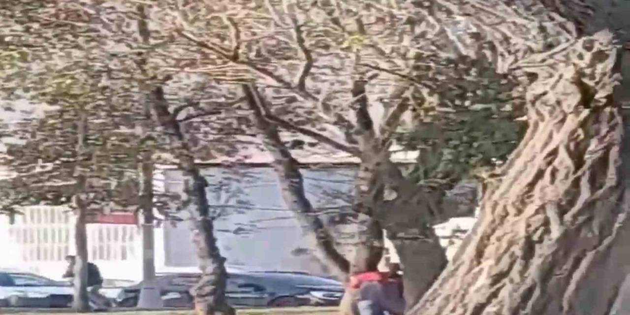İstanbul’da Sarhoşların Silahlı Kavgası Kamerada: Ağaçların Arkasından Çatıştılar