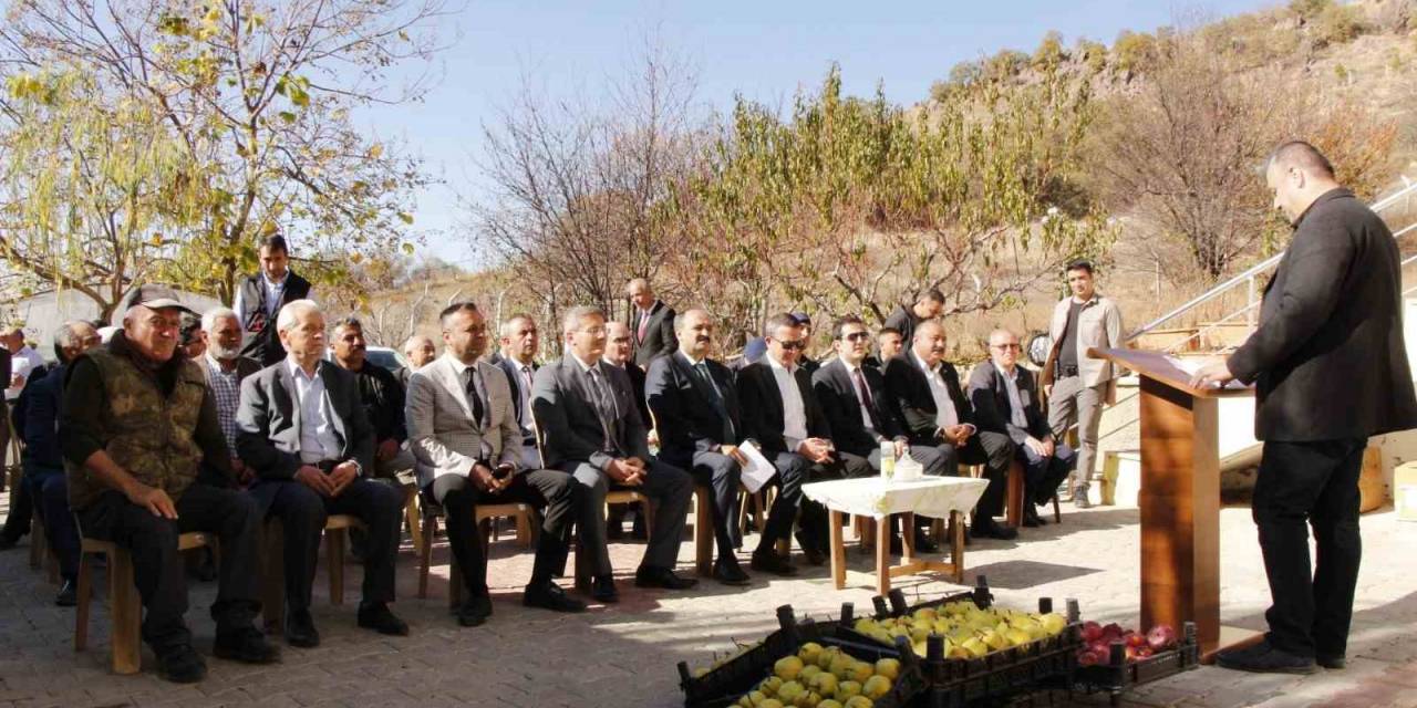 Deveci Armudunda Hasat Zamanı