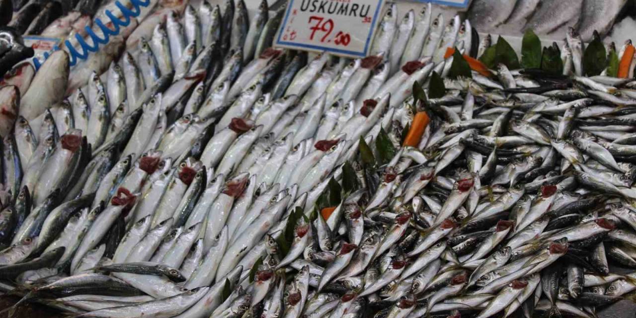 Balıkta En Çok İlgi Hamsiye