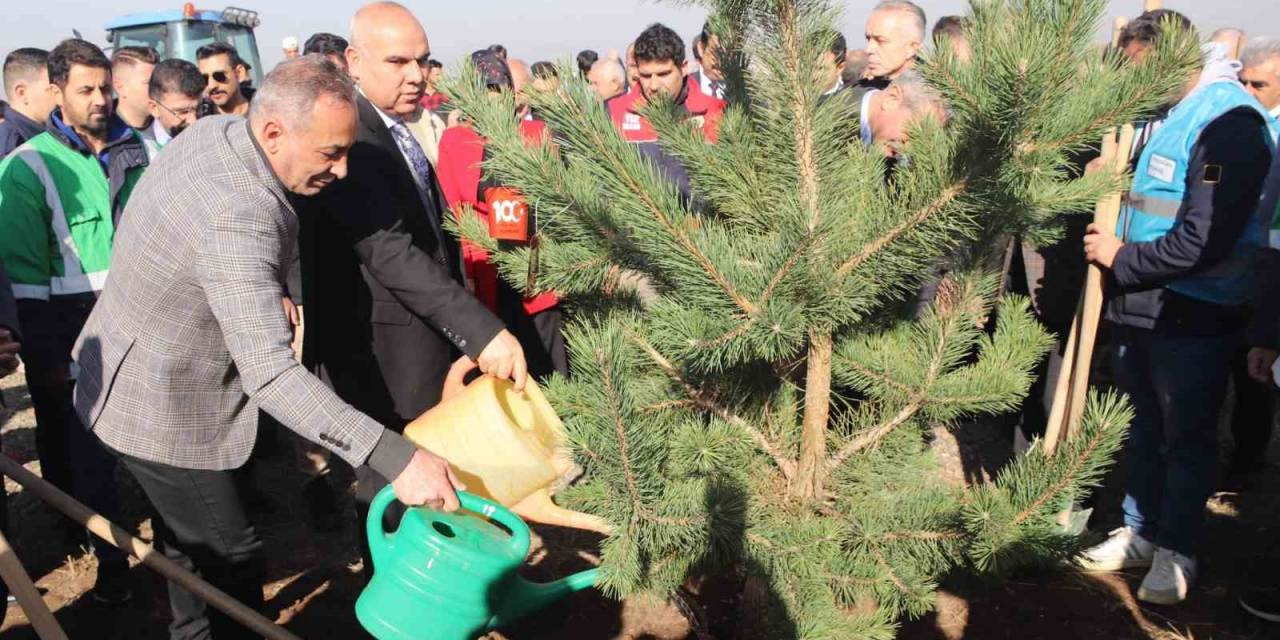 Ağrı’da Fidanlar Toprakla Buluştu