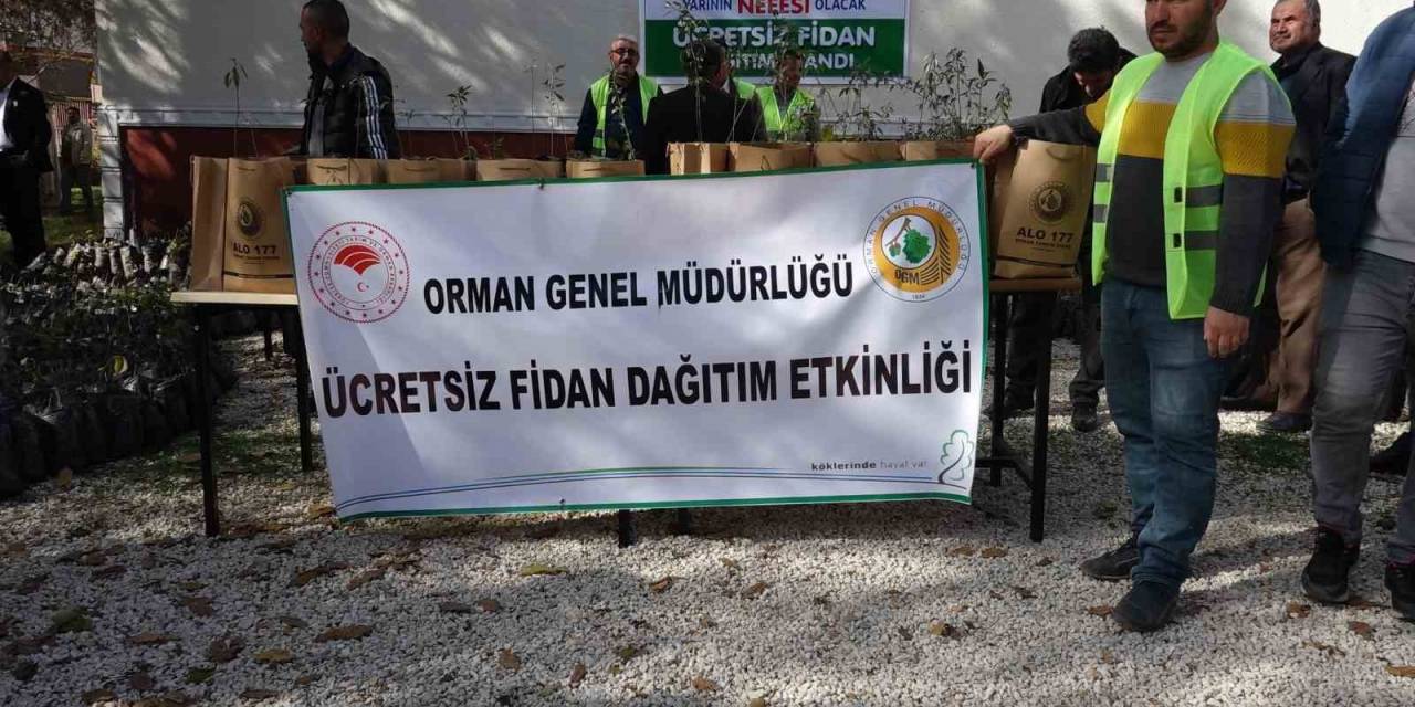 Erciş’teki Yetiştiricilere 30 Bin Adet Ceviz Ve Badem Fidanı Dağıtıldı
