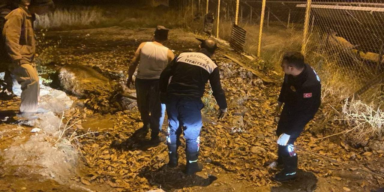 Gübre Yığınında Mahsur Kalan İnek İtfaiye Ekiplerince Kurtarıldı