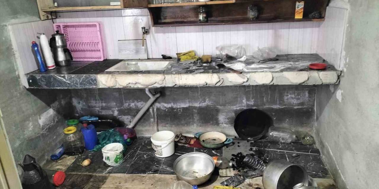 Giresun’da Aç Kalan Ayılar Yayla Evlerine Girdi