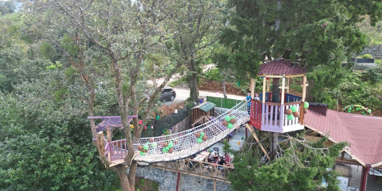 Artvinli Restoran İşletmecisi Ağaçları Kesmeye Kıyamayınca Çözümü Böyle Buldu