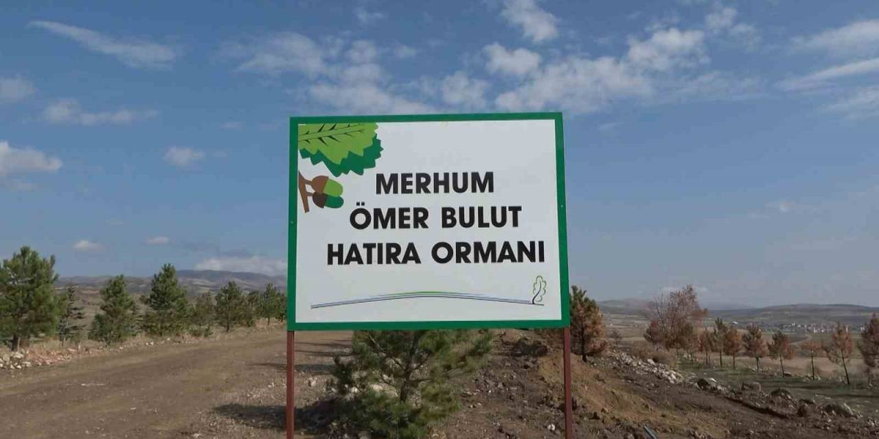 Ömer Dedenin İsmi Yangını Söndürmeye Çalışırken Can Verdiği Fidanlıkta Yaşatılacak