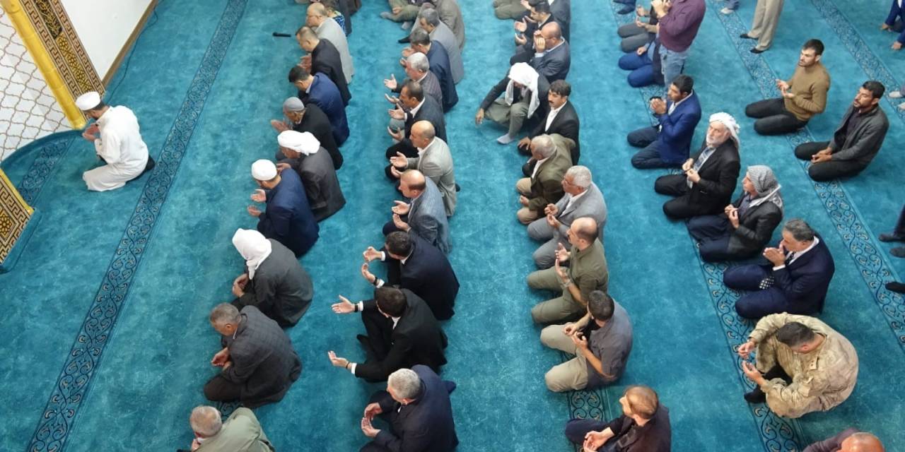 Görevi Başında Şehit Edilen Kaymakam Safitürk Zeytin Fidanı Dikilerek Anıldı