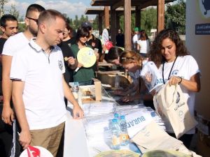 2. Büyük Lenfoma Yürüyüşü