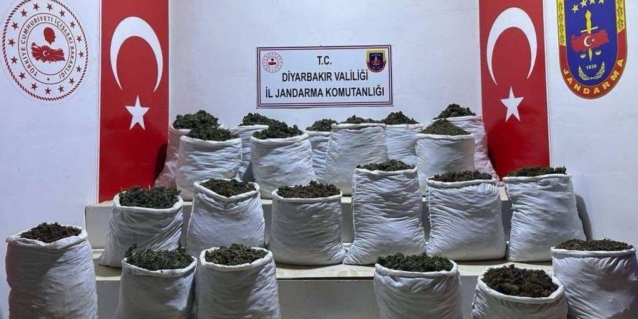 Lice’de 280 Kilo Esrar Ve 244 Bin 500 Esrar Bitkisi Ele Geçirildi