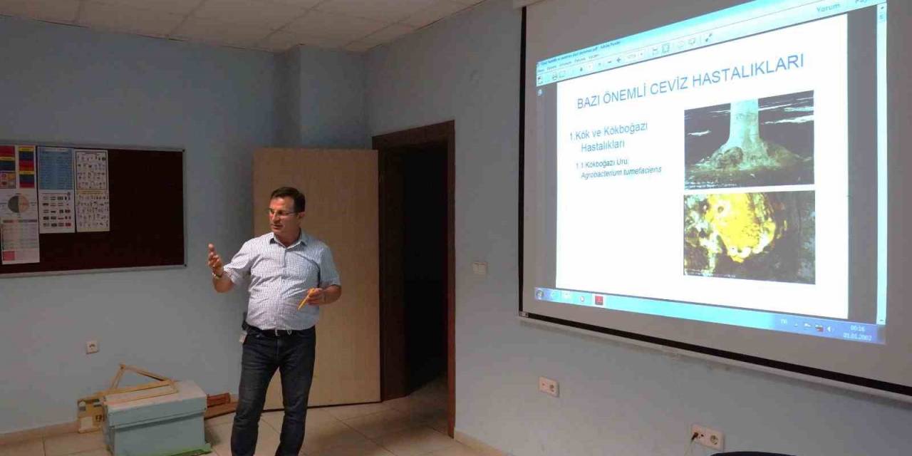 Melikgazi, İlçede Kaliteli Ceviz Yetiştiriciliği İçin Eğitim Veriyor