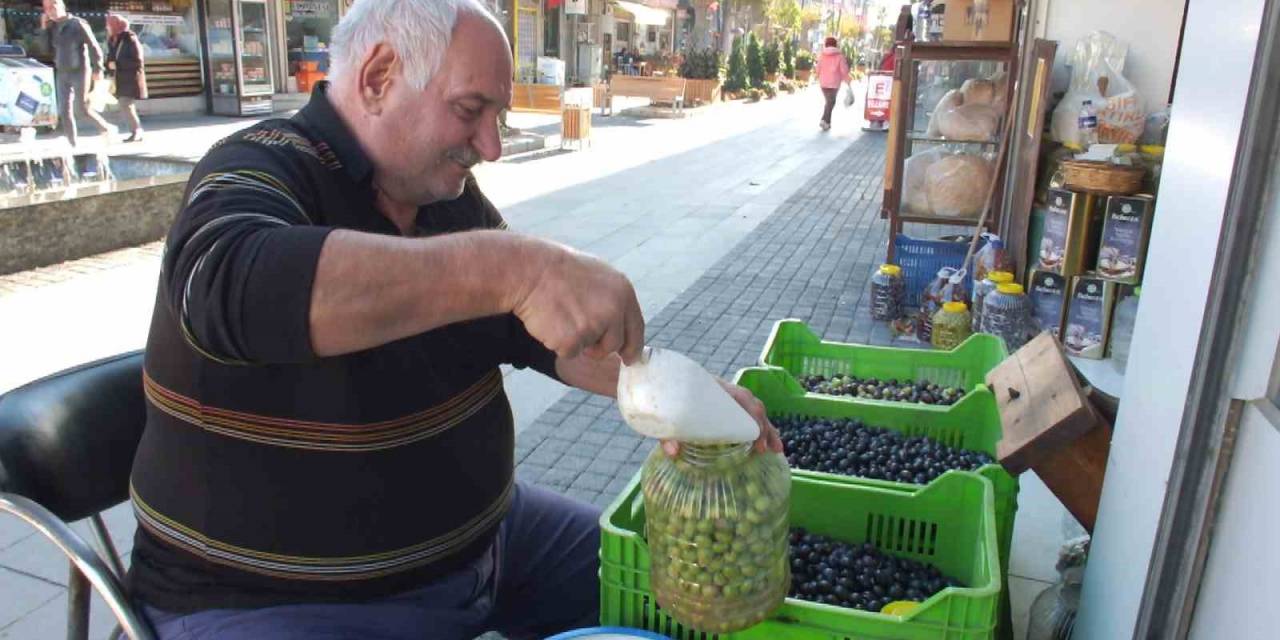 Balıkesir’de Kırma Zeytin Hazırlanmasına Başlandı