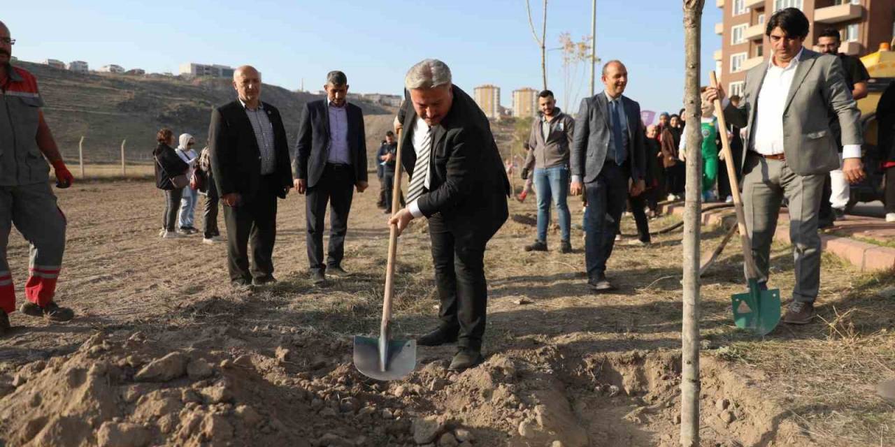 Başkan Palancıoğlu: "Fidan Değil Ağaç Dikiyoruz"