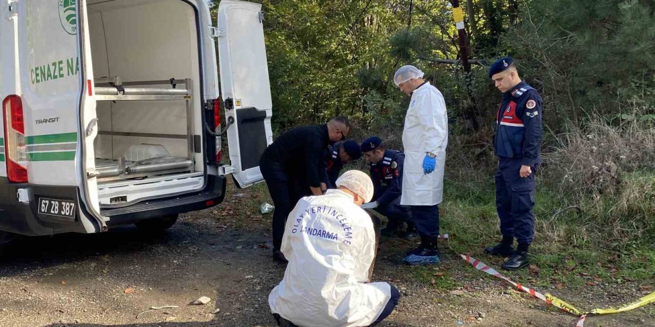 Ormanda Bulunan Cesedin Ardından 6 Şüpheli Gözaltında