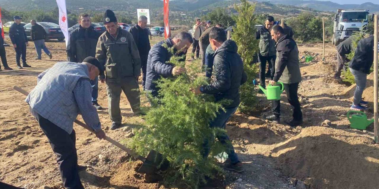 Ayvacık’ta 600 Fidan Toprakla Buluştu