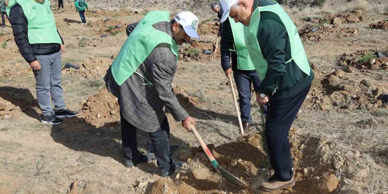 Yahyalı’da Binlerce Fidan Toprakla Buluştu