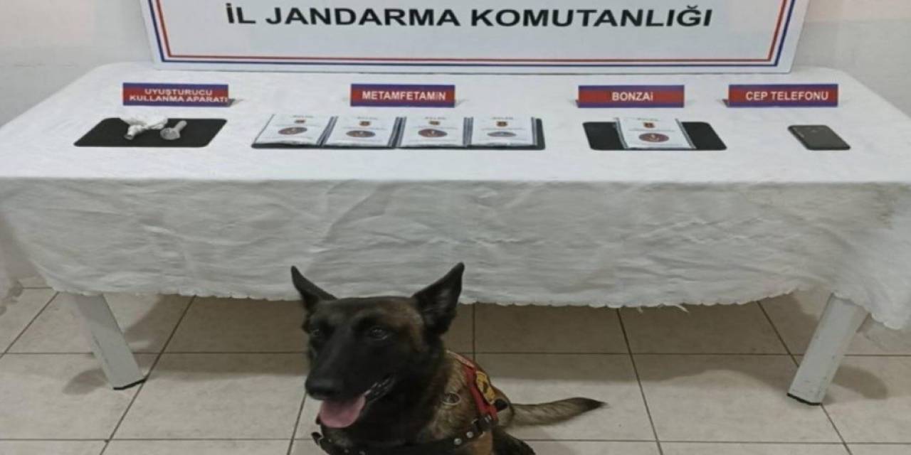 Jandarmadan Uyuşturucu Operasyonu 8 Gözaltı