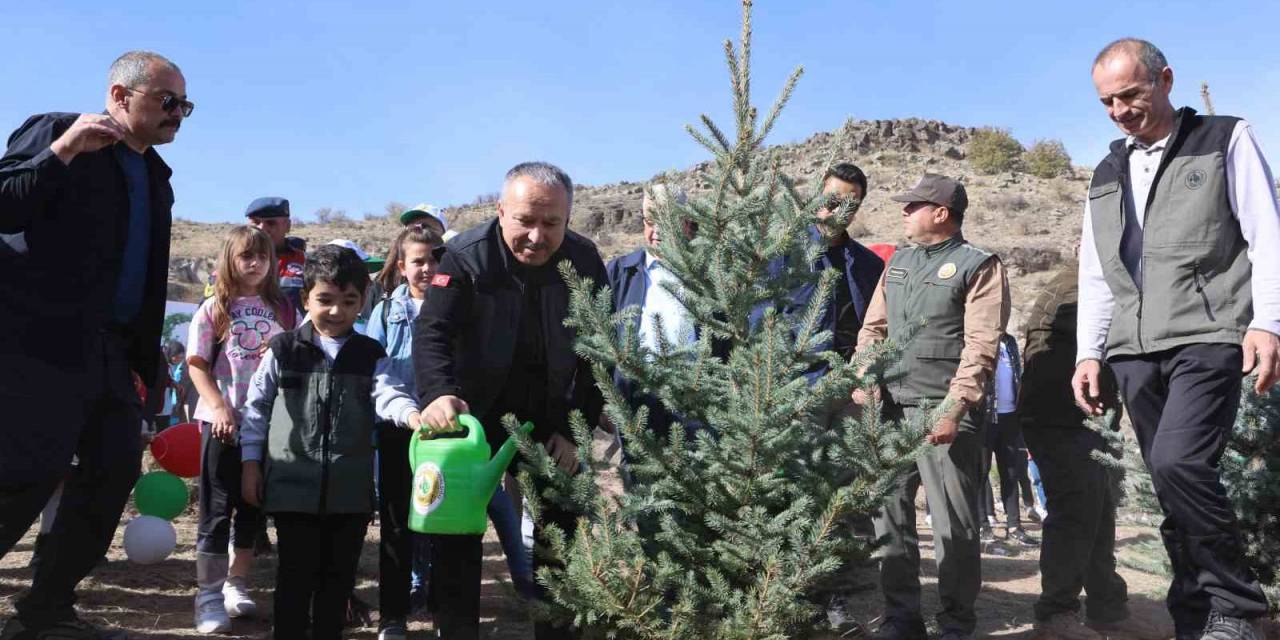 24 Bin Fidan Geleceğe Nefes Olacak