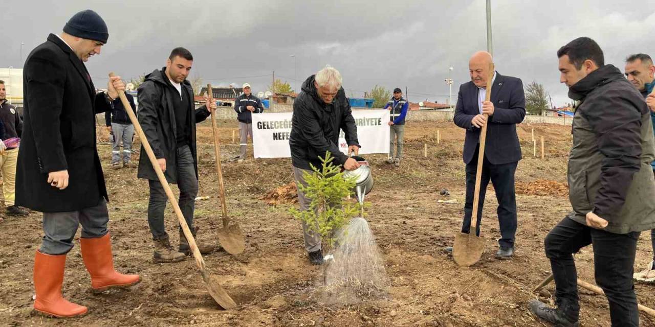 Hayrabolu’da "100. Yıl Cumhuriyet Ormanı" Oluşturuldu